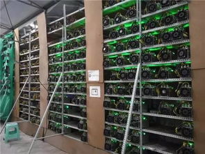 A high-density European mining farm with advanced cooling systems