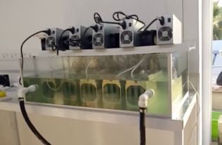A collection of specialized mining rigs used to solve complex computational problems, crucial for validating blockchain transactions.