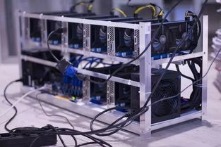 An array of mining rigs in a hosted facility, showcasing the setup's efficiency and scale